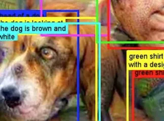 Auto-captioning Deepdream videos with densecap